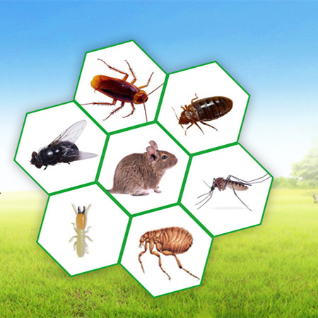 球盟會(huì)·qmh(中國)-官方網(wǎng)站