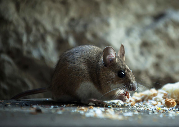 球盟會·qmh(中國)-官方網(wǎng)站