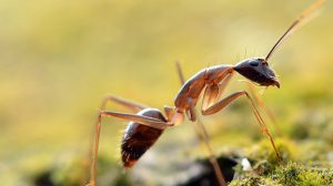 球盟會(huì)·qmh(中國)-官方網(wǎng)站