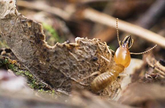 球盟會(huì)·qmh(中國(guó))-官方網(wǎng)站